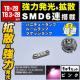 LED T8~28mm SMD 6A ݸ ޲ްƖ 