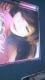 ݁EFcjq􏉉bc{cucBk`cx bg`hkc`ѕt