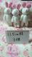 BIGTCYXgbv11.5cm3PfRɁ