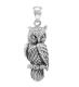 NEBULA Naturefs wise representation Owl