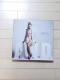 (136) cҖ AND t@Nu CD1+DVD3+ʐ^W+̎J[h