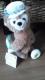 ���]�[�g�t�@�C���h���A�r���[�e�B�t���u���[�_�b�t�B�[�ʂ������