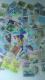o62~؎75Vigpi  6275[an