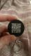 The  RIGHT  STUFF `F[L[z_[Á