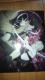 ڲޯ޽ ʸر̧