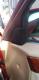 17NE@cC[^[Jo[@2Zbg