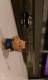 فC\WJo񁚃tBMANbv