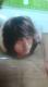 ުذEݎʐ^ޯ A
