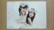 AKB48 ȂN[ 哇Dq nӖF ںTʐ^ 