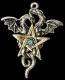 EastGate Dragonstar pendant ܍svz̃}WJ䊐