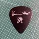 80N THE ROLLING STONES / EEbhmodel M^[sbN  ESP [OEXg[Y