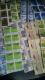 50~؎100Vigpi  50100[A6