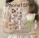 LeB  X}zP[X  iPhone15Pro  VRP[X