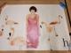 hitomi ������|�X�^�[ �x�X�g�A���o���uh�v�t���~���S 103�~145cm