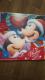 [񔄕i]޺ ިư ް(Ǌ|)2022NDisney Я