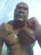 K-1  ް ޻ BOB SAPP iZ ̨ޭ ۰ޕt