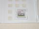 3DS[hTbJ[ ECjOCu2013 P[Xt