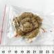 27*Ҳށٖю̊́@14
