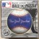 ܂̂ ̃pY BALL x PUZZLE NEW YORK YANKEES
