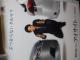 SUBARU Xo@IWi@NAt@C@TOKIO RB