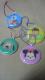 ިư ưϳ  S4 ݂̔񔄕i ް