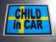 CHILD IN CAR�X�E�F�[�f�������X�e�b�J�[�����킢����