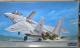 1/48 tW~ q󎩉q F-15J C[O