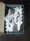 SAUCONYSJR{
