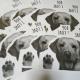\Ȃ\!!DOG WALLSTICKER-EH[XebJ[S[f
