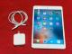 iPad mini ꐢ@A1432 16GB [d@1735-01-5