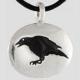 AzureGreen Raven Totem Amulet mSgʂ̌N