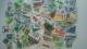o60~؎70Vigpi  6070[Y