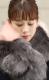 visc[gGRt@[Xg[  eBybg}t[@