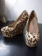 STEVE MADDEN/è݁@׺@ڵ߳޻فiSj