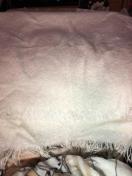 LIZLISA  Xg[@}t[@(  )