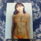 ���c���؎ʐ^