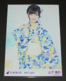 �T�؍�46�@�R�������@���ʐ^�P���@2017.July