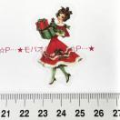 Xg􃌃gȃNX}XR[WV[69