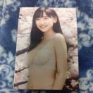 ���c���؎ʐ^