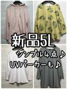 Vi5LUVJbgp[J[ⒷJbg\[4܂Ƃ߂āQ236