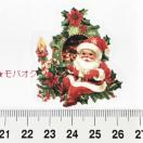 Xg􃌃gȃNX}XR[WV[81