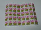 gp@100~ʐ؎@40@4000~@|Cg