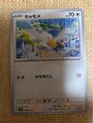 �|�P�����J�[�h�@�L������