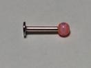 /޶ٽڽި߱16G/߽8mm/ϰٵݼ