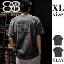 XLTCYAJg 100% GvgsVc O[ GCg{A[k51