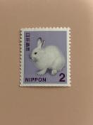 2�~�؎�@���D����������������