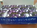 ײް Ͻڸ ޽ľڸ f y1BOX(8)āz