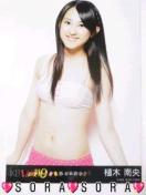 yHKT48EAؓ쉛zPS31/149ITʐ^