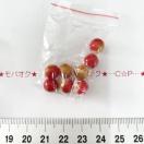 5*�K���X�r�[�Y�@24