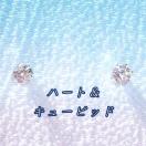  FH&C PQ ΃AM[XeXCZsAX(5mm